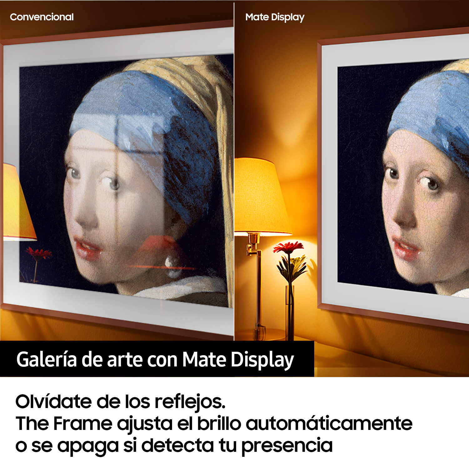 Dos pinturas enmarcadas, una con superficie reflectante, la otra mate. El texto promueve la pantalla mate.