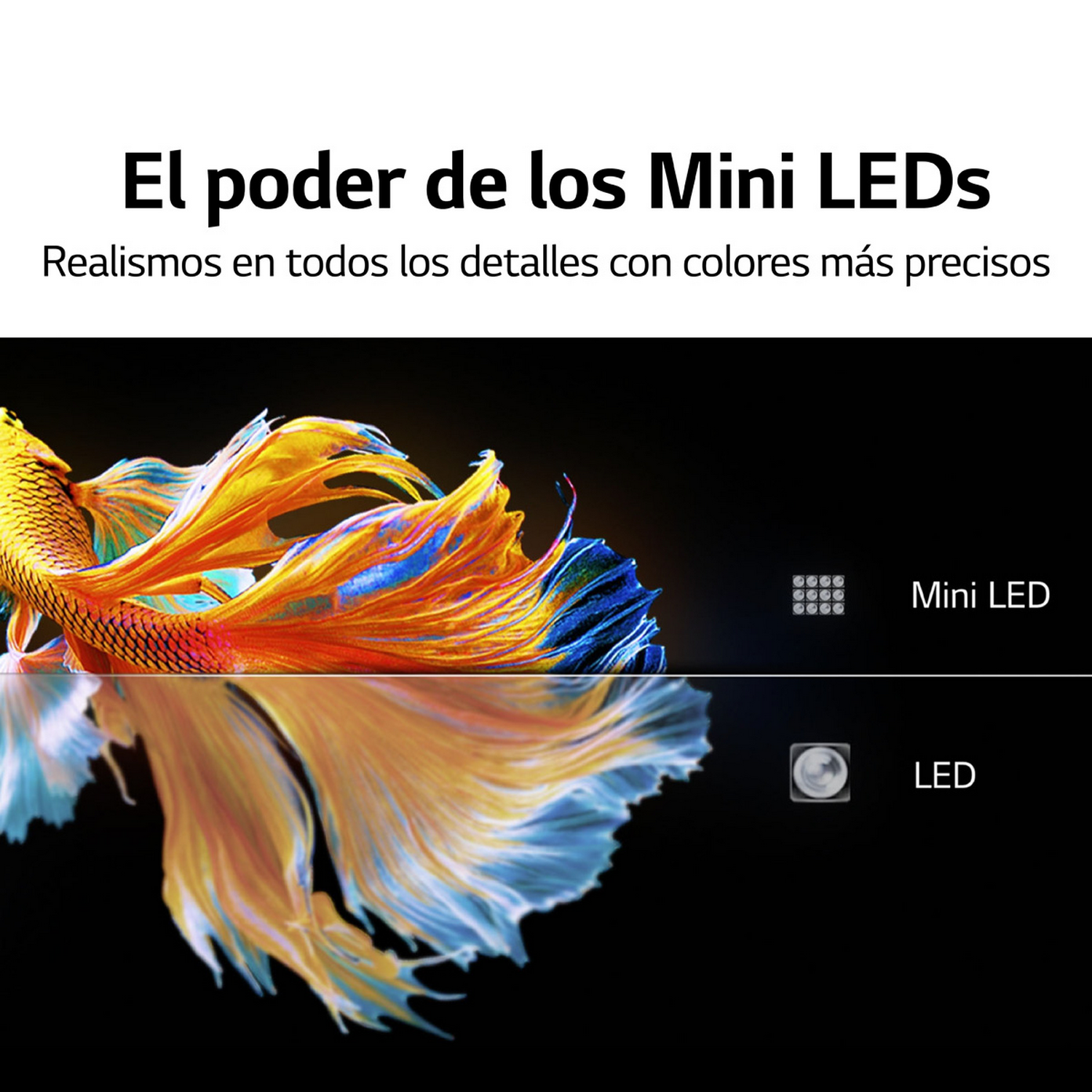 Imagen que muestra un pez con aletas coloridas. Comparación Mini LED y LED.