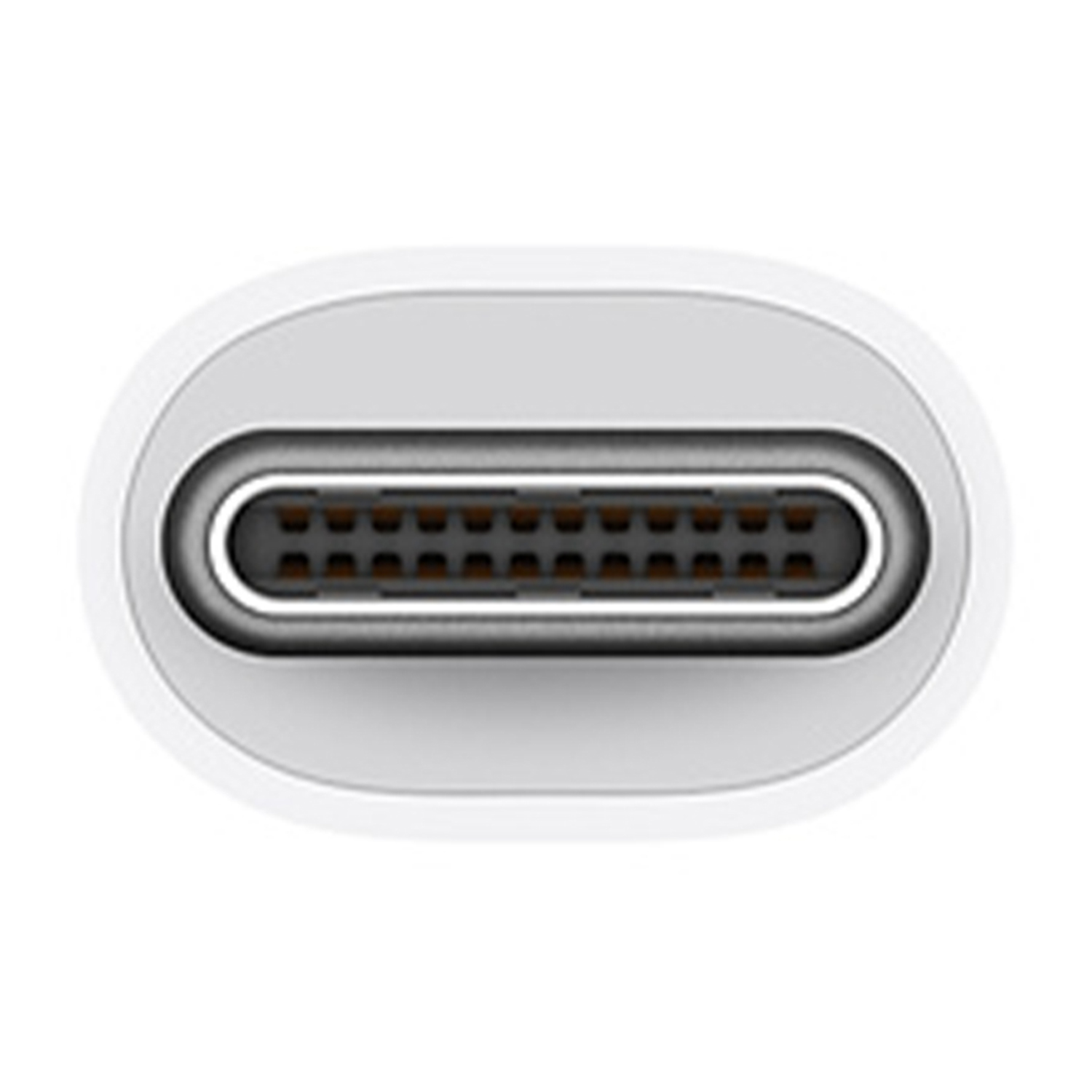 Un primo piano di un connettore USB-C bianco.