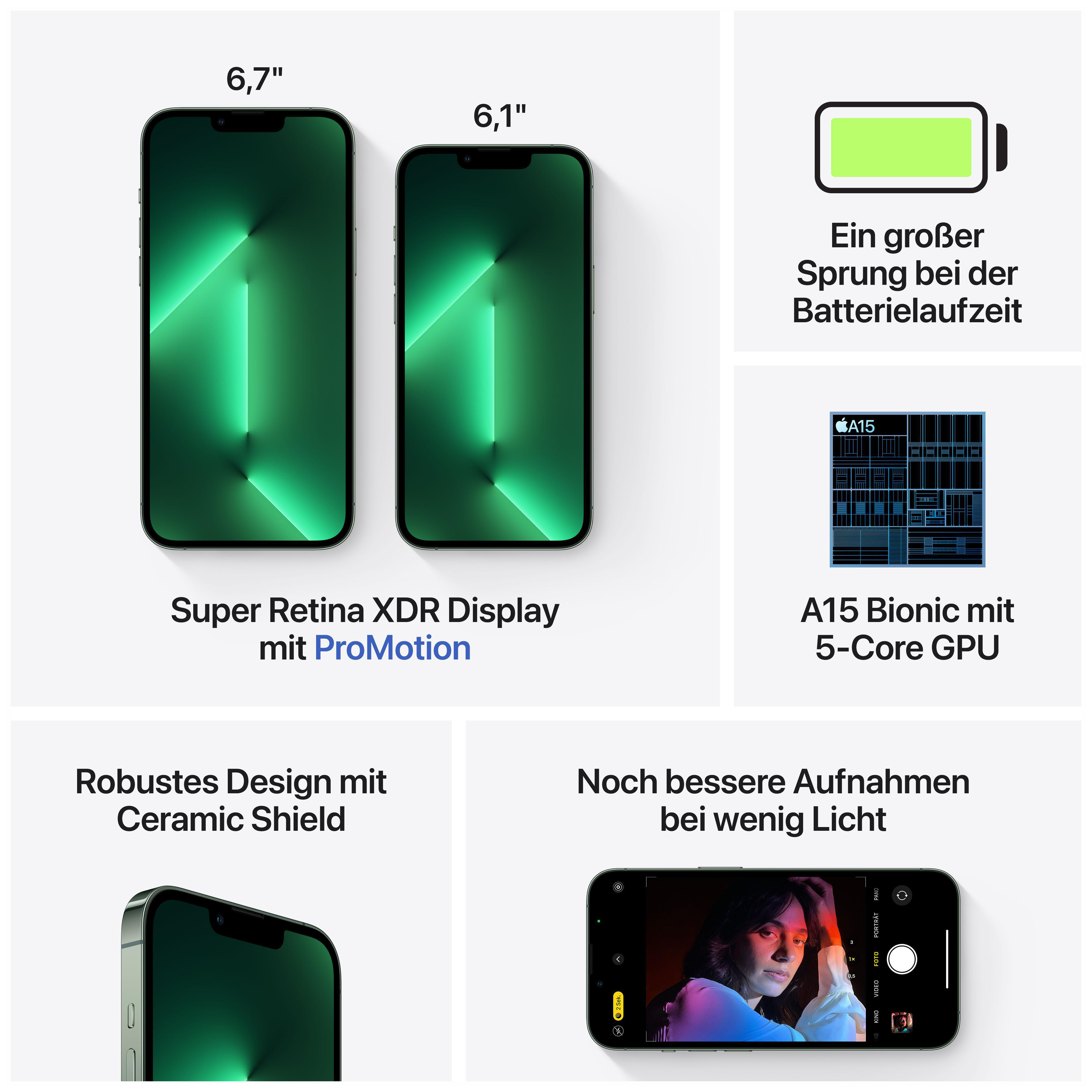 APPLE iPhone 13 Pro Max 1 TB Alpingrün Dual SIM
