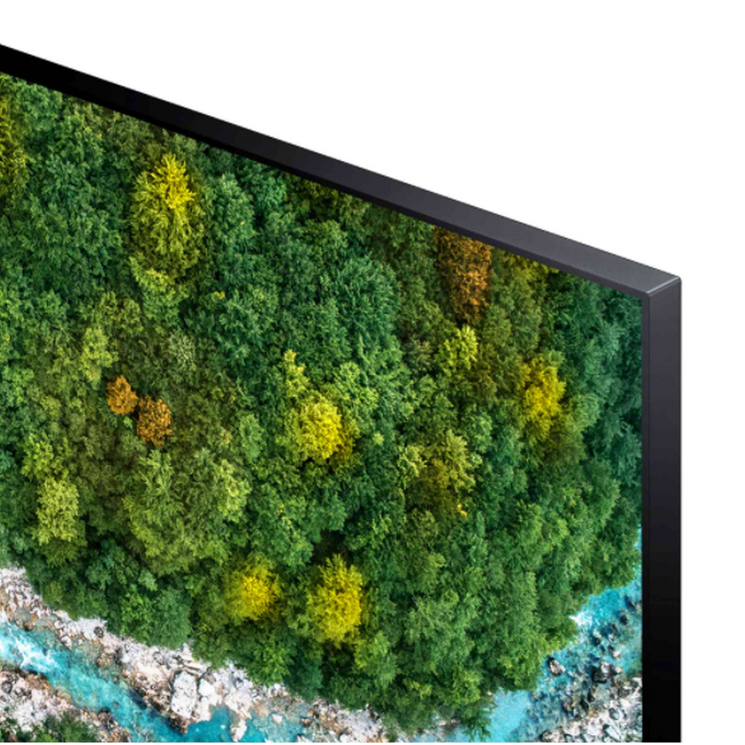 Primer plano de una pantalla de TV que muestra un denso bosque verde con un río. Un marco negro rodea la pantalla.
