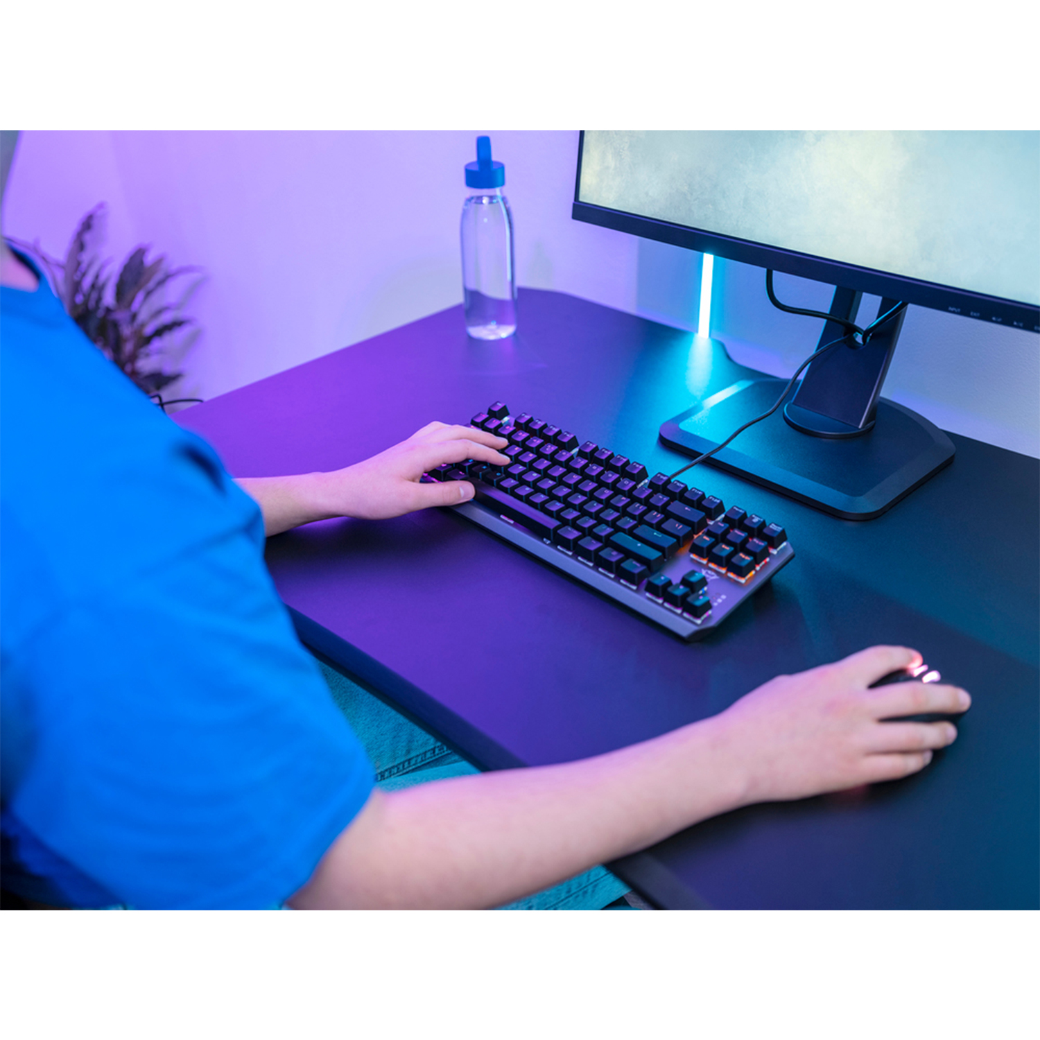 Mani di una persona su tastiera e mouse. Monitor e bottiglia d'acqua visibili.