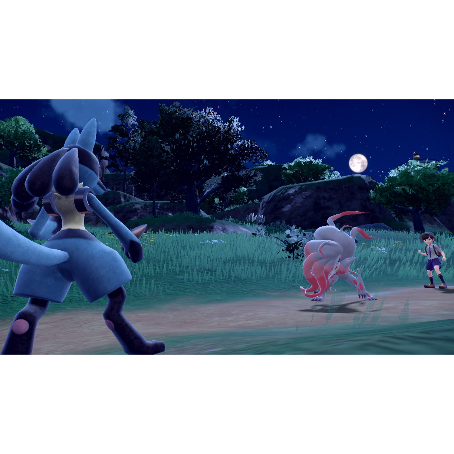 Una scena di battaglia Pokémon di notte. Due creature si affrontano, con un allenatore vicino.