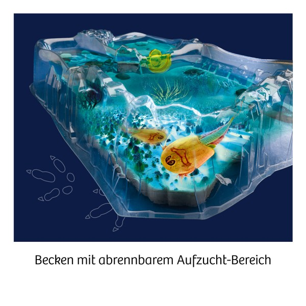 Aquarium mit blauem und grünem Hintergrund. Ein gelber Fisch schwimmt im Aquarium.