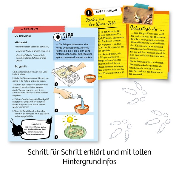 Lehrmaterial mit Text, Zeichnungen und Bildern über Dinosaurier und Natur.
