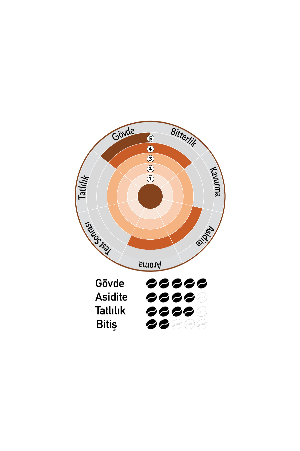 Tat ve aroma segmentleri olan kahve aroma tekerleği, kahverengi geçişler.