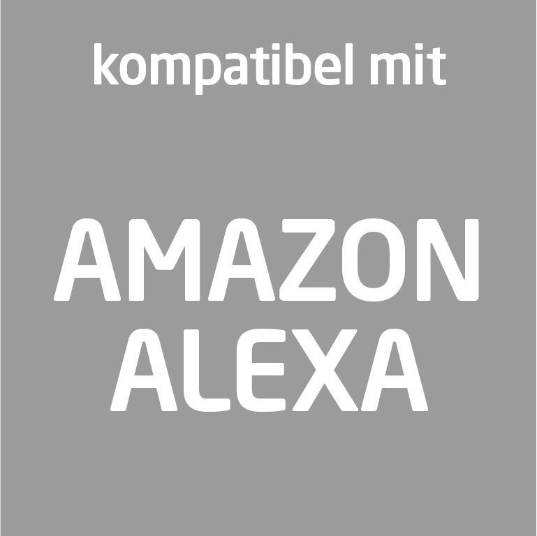 Ein graues Quadrat mit dem Text 'kompatibel mit AMAZON ALEXA' in Weiß.