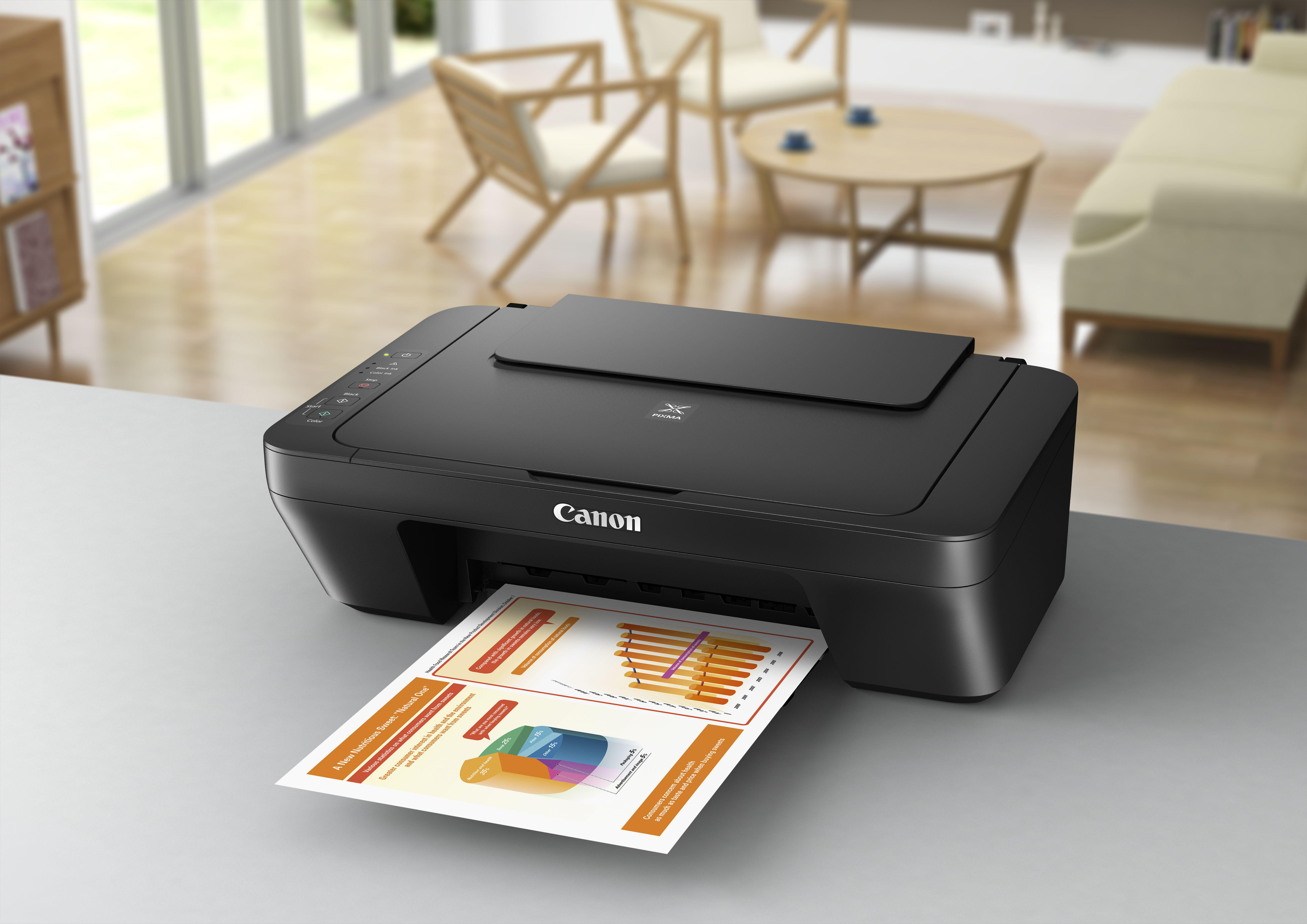 CANON PIXMA MG2550S 2 FINE Druckköpfe mit Tinte (Schwarz und Farbe) Tintenstrahldrucker
