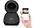 ALECTO Smartbaby 10 - WLAN-Babyphone mit Kamera (Schwarz)