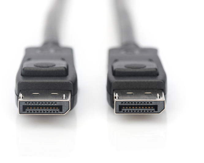 Nahaufnahme von zwei schwarzen DisplayPort-Kabeln, die ihre Anschlüsse zeigen.