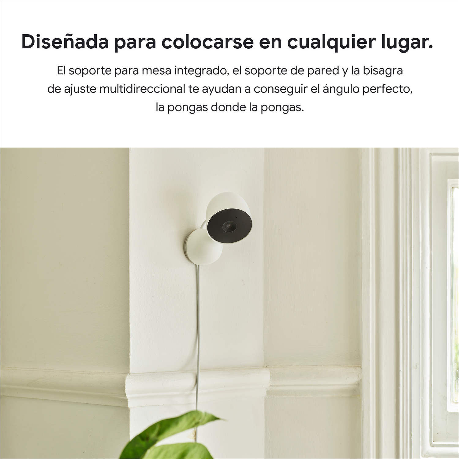 Una cámara de seguridad blanca en una pared blanca, con una planta en la esquina inferior izquierda.