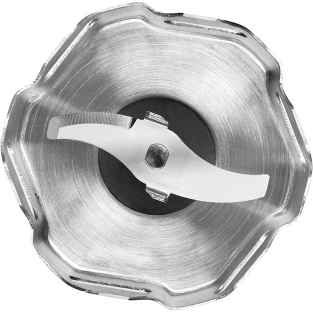 Stainless steel blender blade.