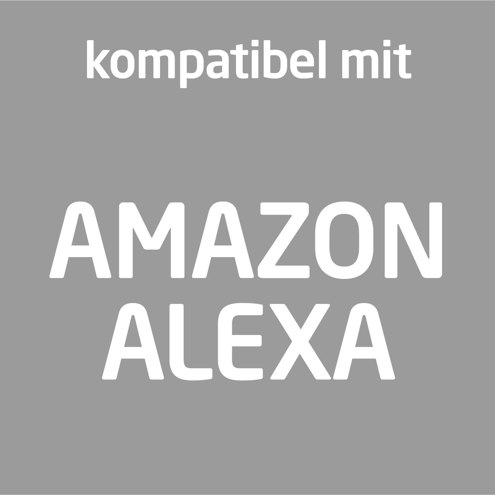 Weißer Text auf grauem Hintergrund mit der Aufschrift 'kompatibel mit AMAZON ALEXA'.