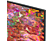 TV SAMSUNG 55" QLED 4K Smart TV QE55Q80BATXXN