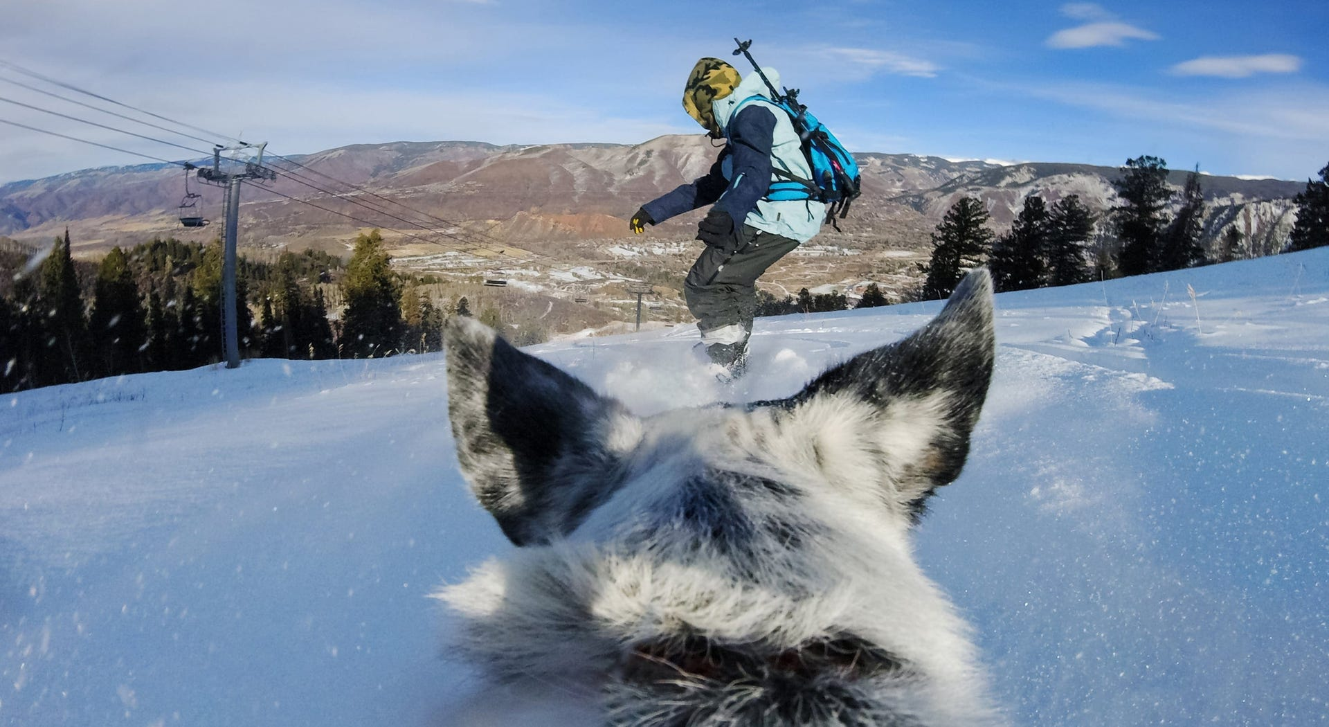 Egy snowboardos akcióban, egy kutya szemszögéből. Havas hegyvidék a háttérben.