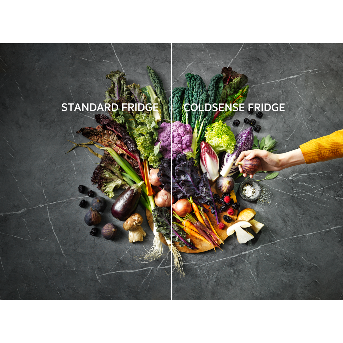 Deux côtés d'un arrangement de nourriture, un réfrigérateur standard, un à sens froid, avec légumes et fruits.