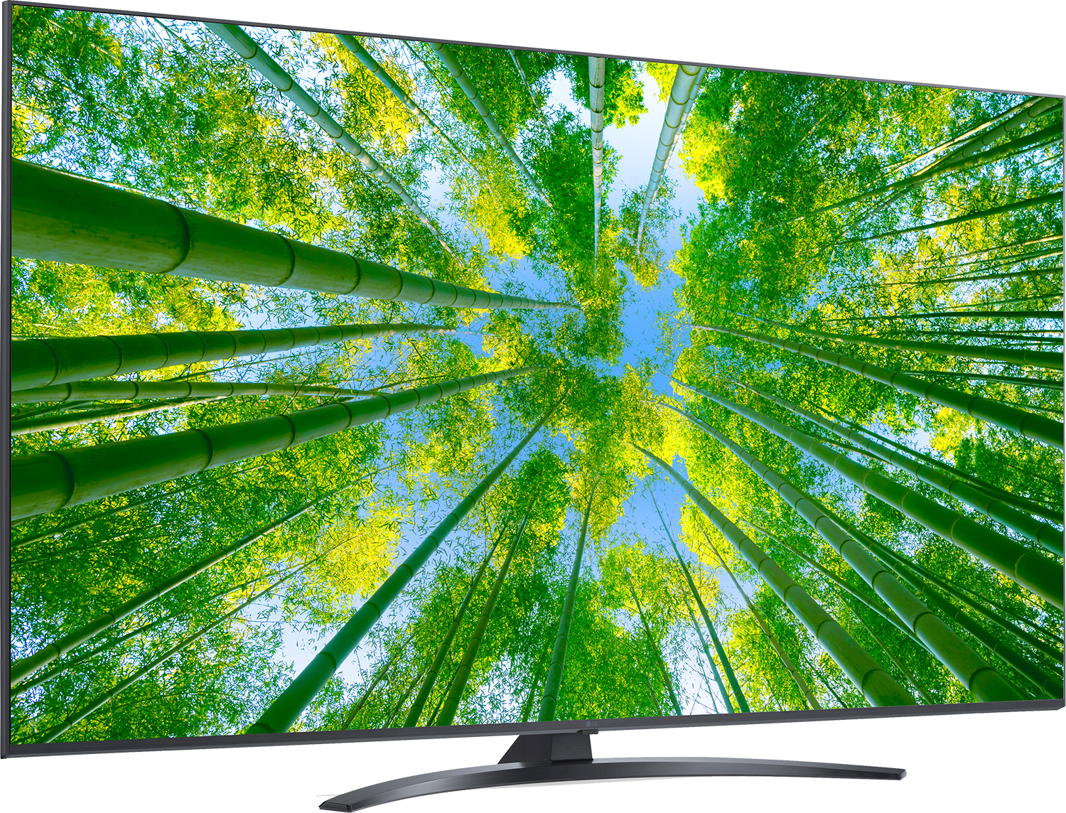 TV toont een bamboebos van onderaf. Groene bamboestengels reiken naar blauwe lucht en zonlicht.