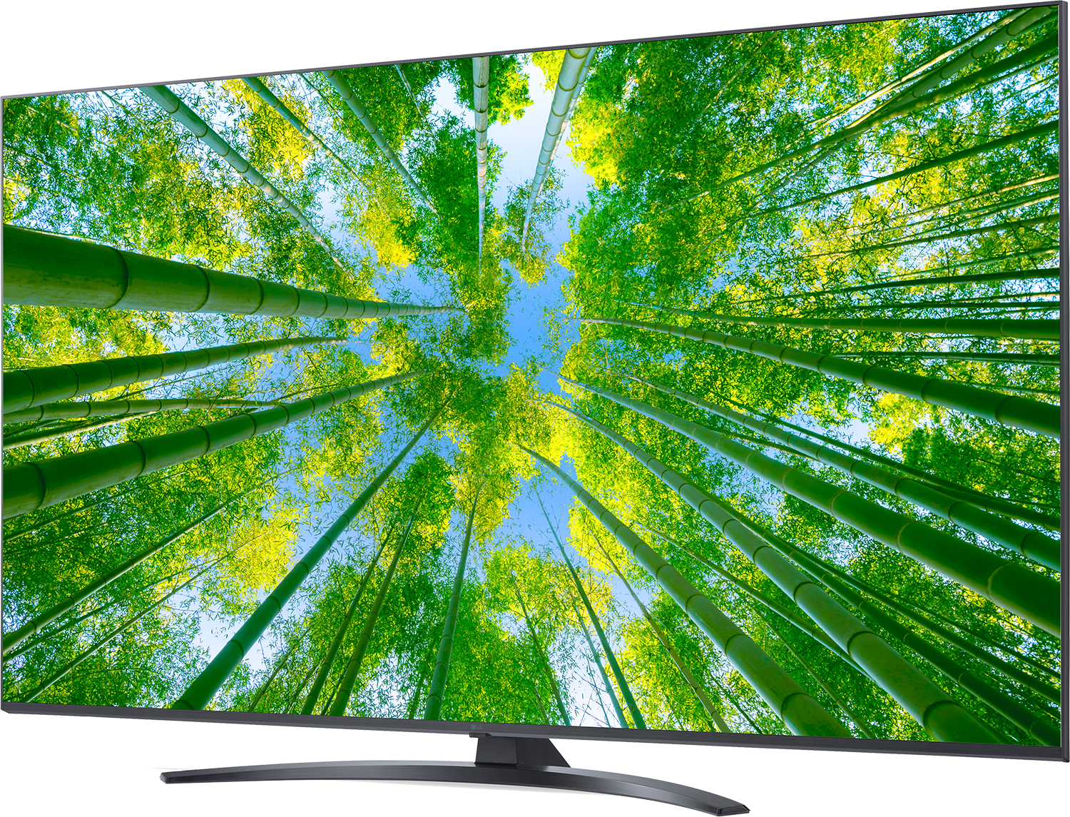 TV toont een bamboebos. Hoge groene bamboestengels reiken naar een blauwe hemel, bladeren vullen de top.