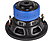 HIFONICS Zeus ZXS8D2 - Caisson de basses de voiture (Noir/bleu)