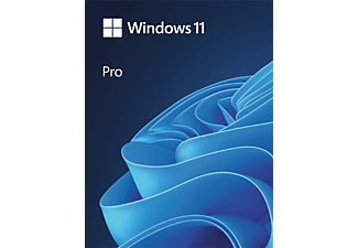 Windows 11 Pro (1 felhasználó) (PC)