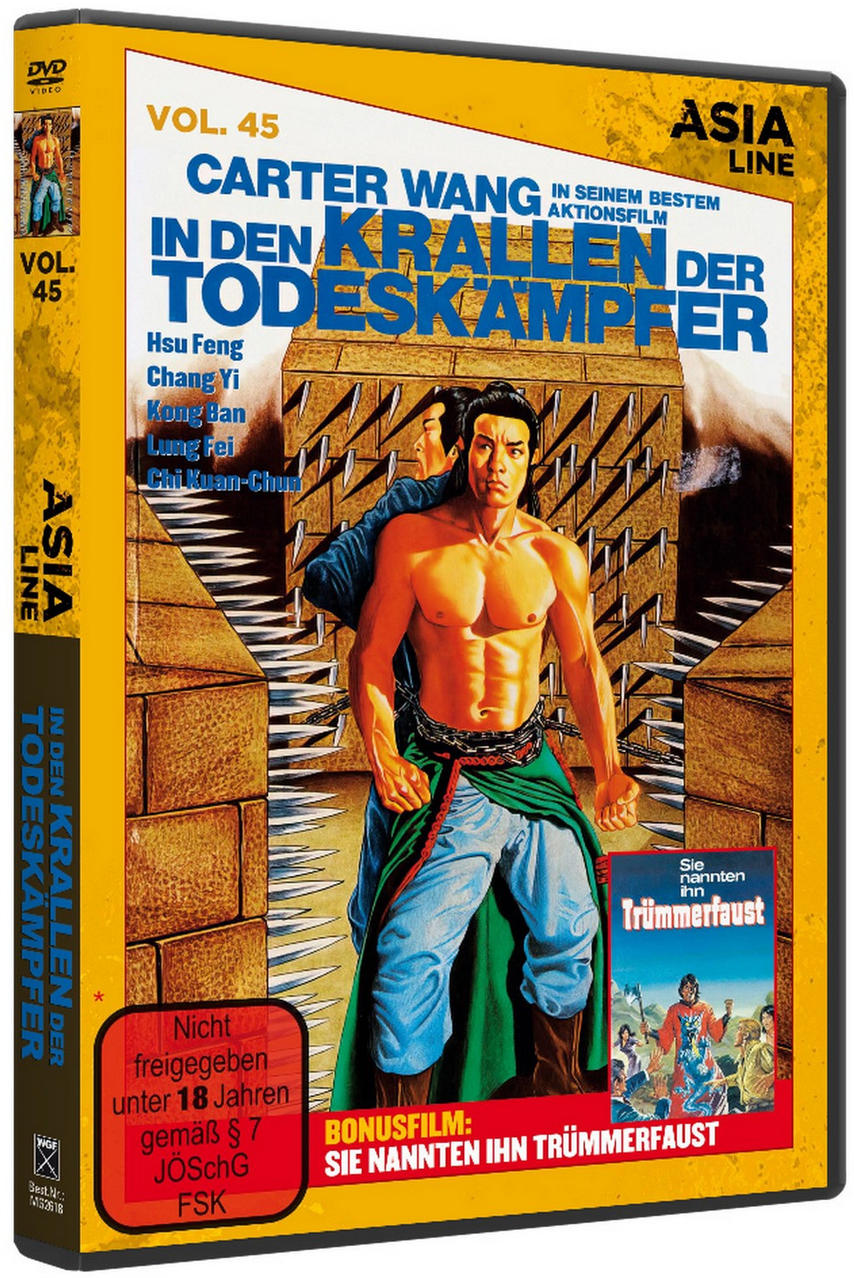 DVD-Cover eines Martial-Arts-Films mit einem Mann in grün-blauem Outfit.