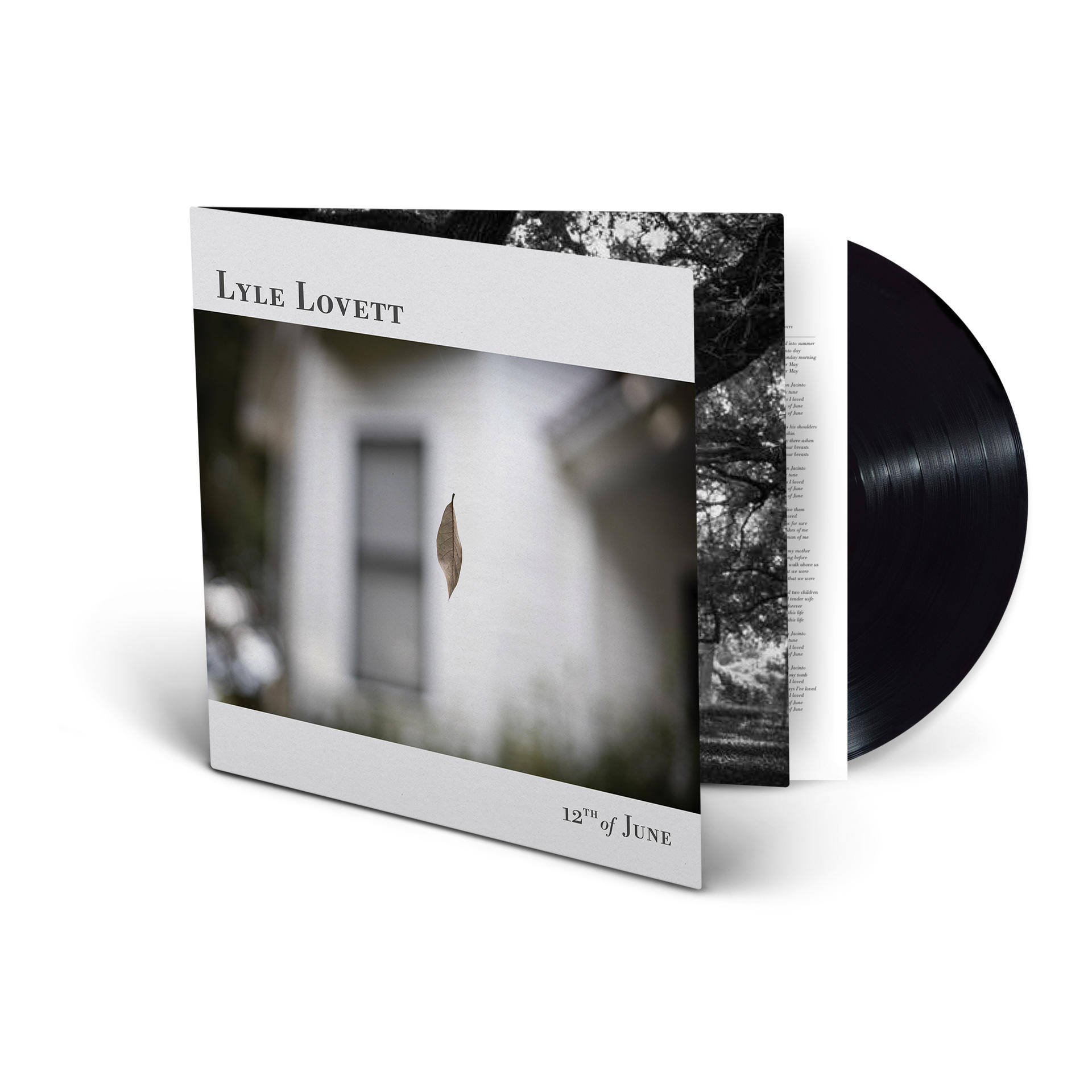 Vinyl-Albumcover mit Haus, Blatt und Albumtitel.