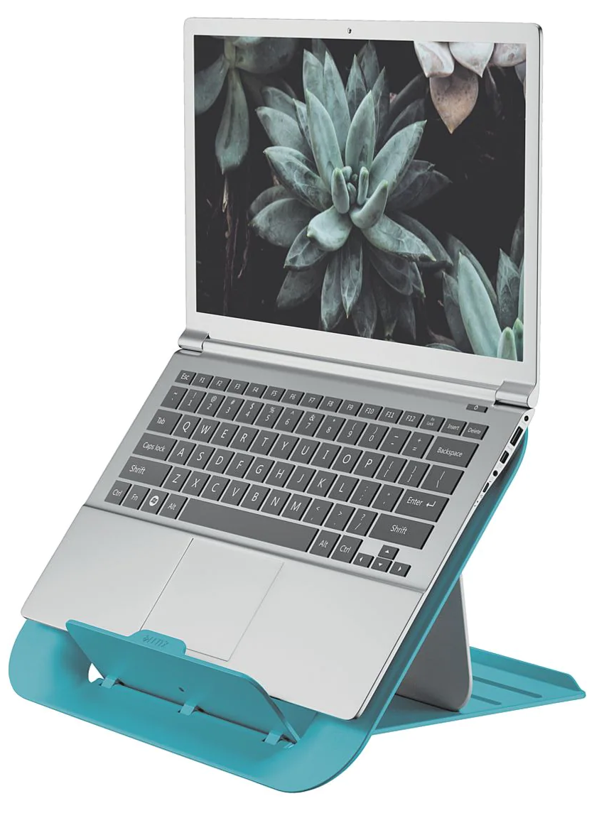 Laptop türkiz állványon, a képernyőn pozsgás kép látható. Billentyűzet látható. Szürke állvány.