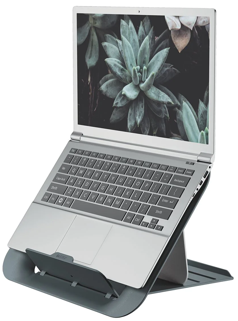 Laptop szürke állványon, a képernyőn pozsgás kép látható. Billentyűzet látható.