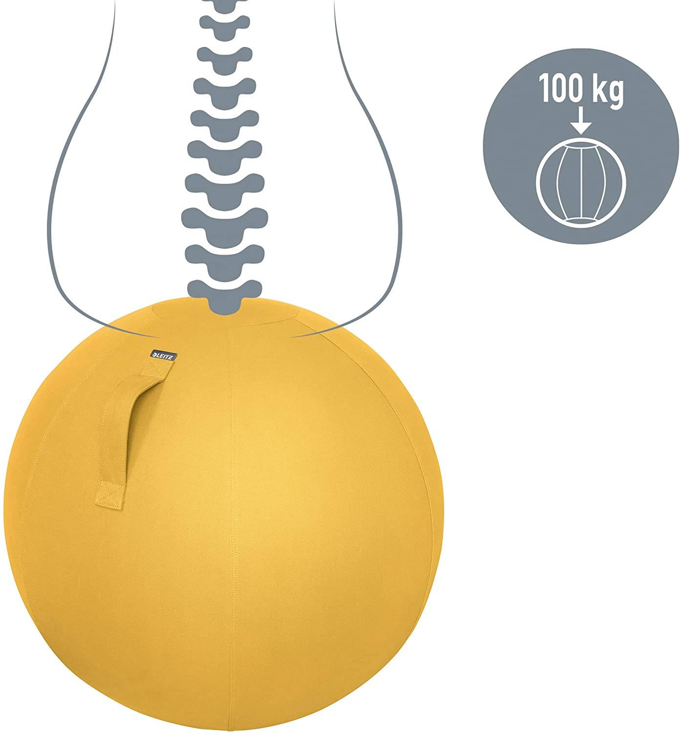 Sárga tornalabdán egy gerinc ábrázolása, mellette 100 kg-os súlykorlátozás.