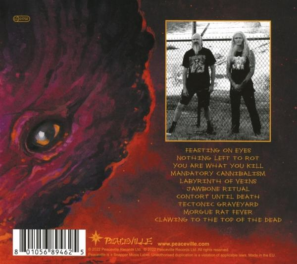 Static Abyss - Labyrinth Of Veins  - (CD)