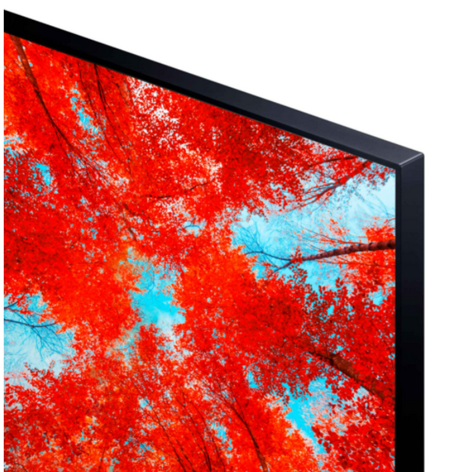 TV LED 55" - LG 55UQ91006LA, UHD 4K, Procesador Inteligente α5 Gen5 AI Processor 4K, Smart TV, DVB-T2 (H.265), Azul Oscuro Ceniza