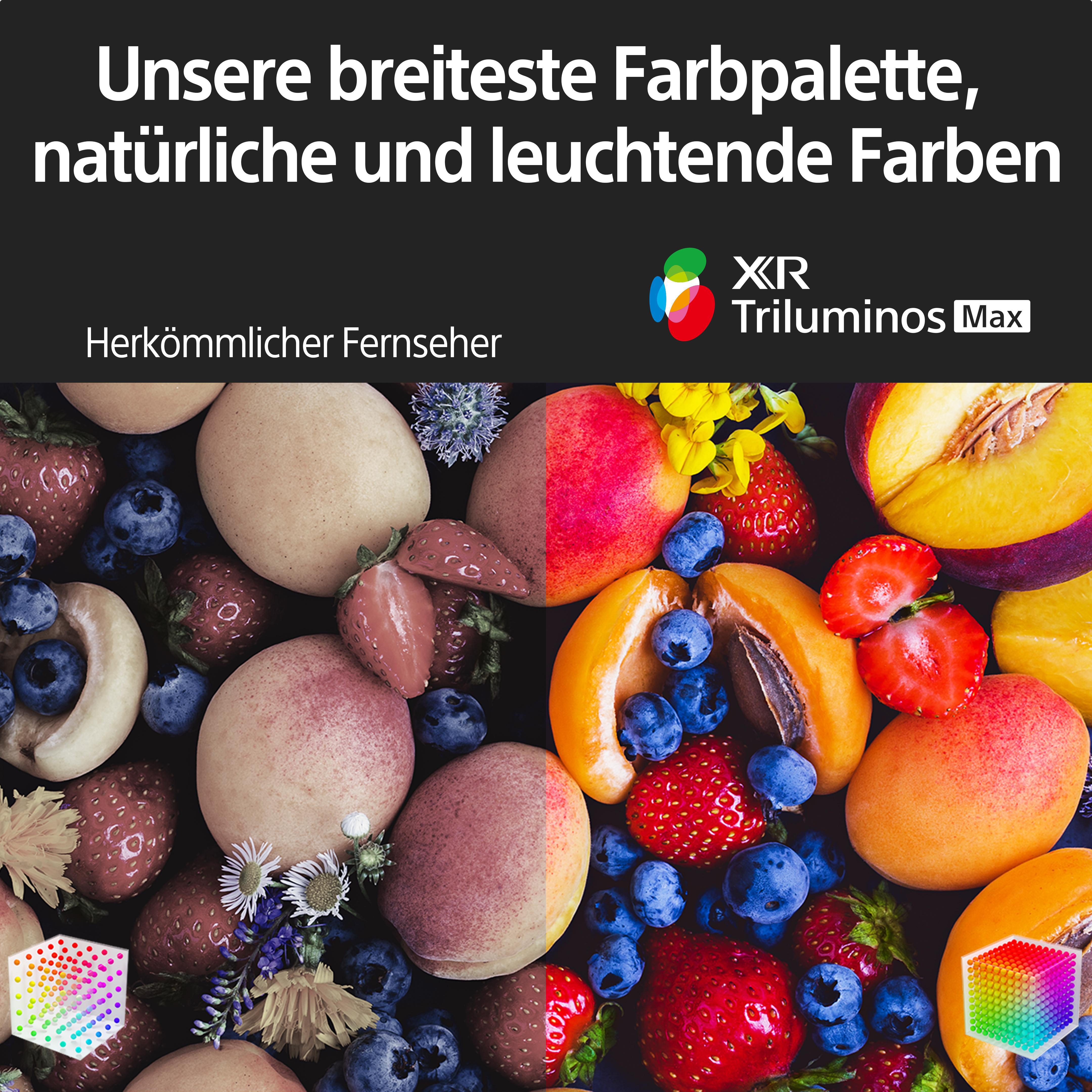 SONY BRAVIA XR-65A95K OLED TV (Flat, 65 Zoll / 164 cm, OLED 4K, SMART TV, Google TV)