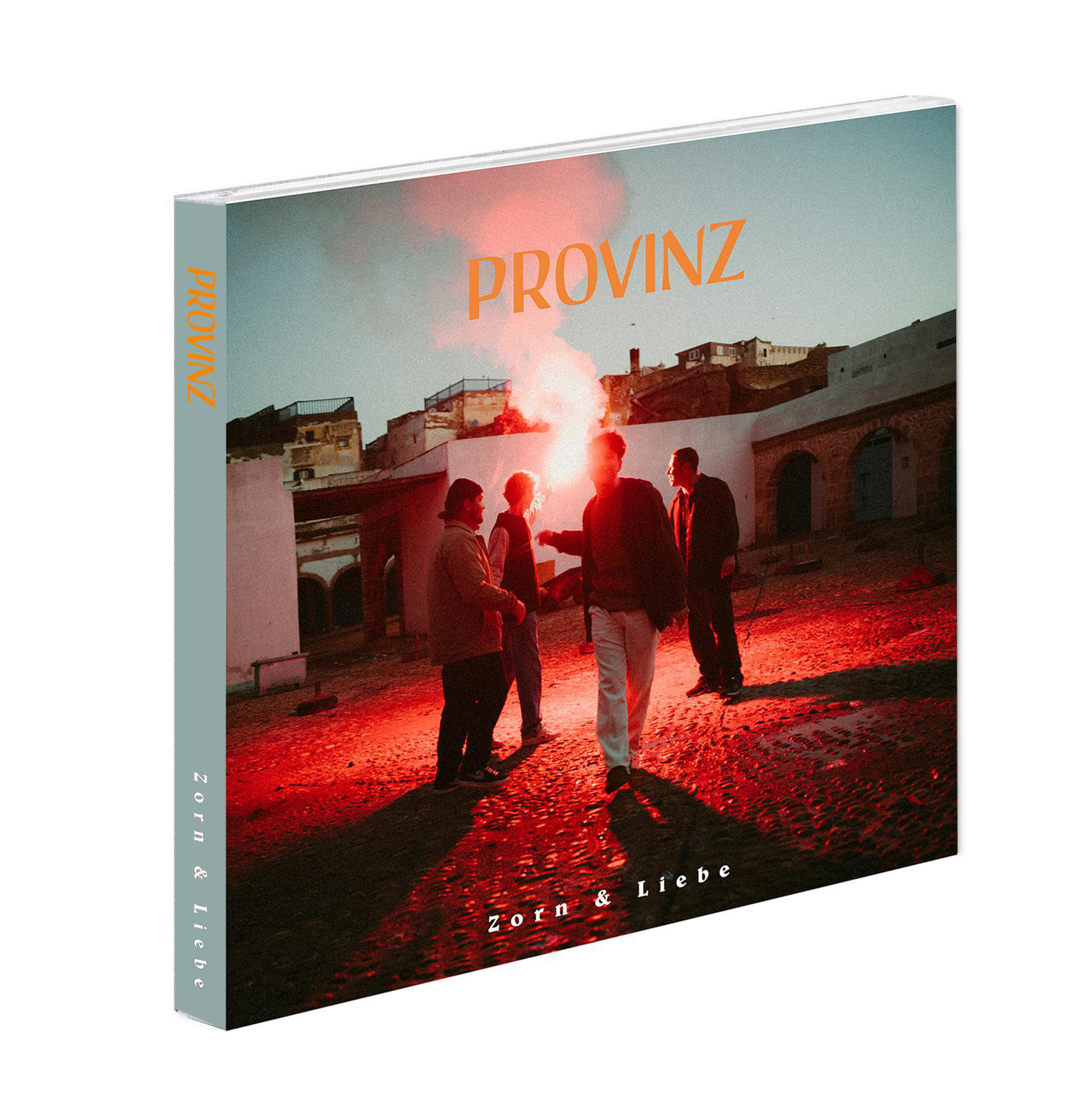 Buchcover mit orangefarbenem Titel 'PROVINZ' und einer Männergruppe mit roter Fackel in einer Stadt.