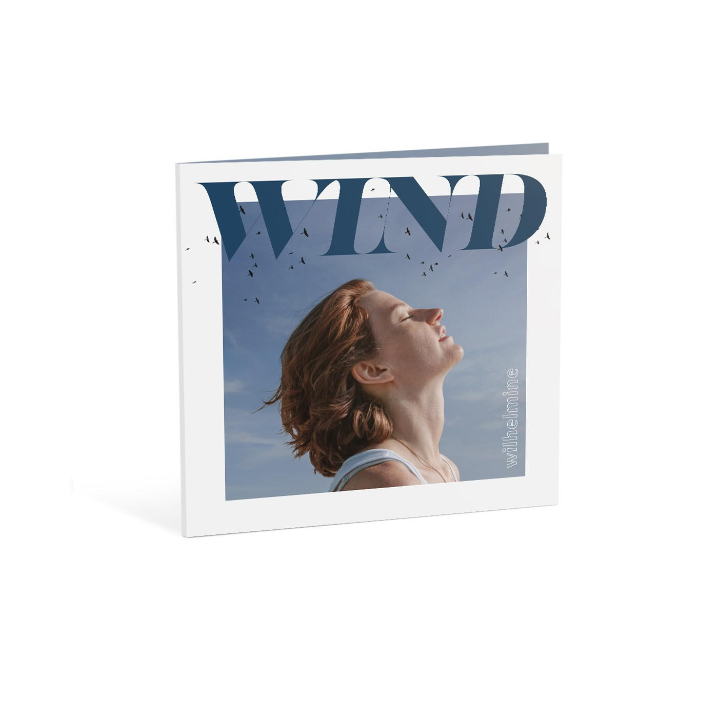 Ein Buchcover mit einer Frau, die nach oben blickt, dem Wort 'WIND' darüber und Vögeln am Himmel.