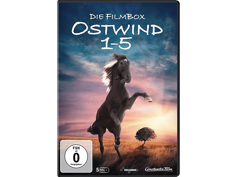 Ostwind 1-5 DVD