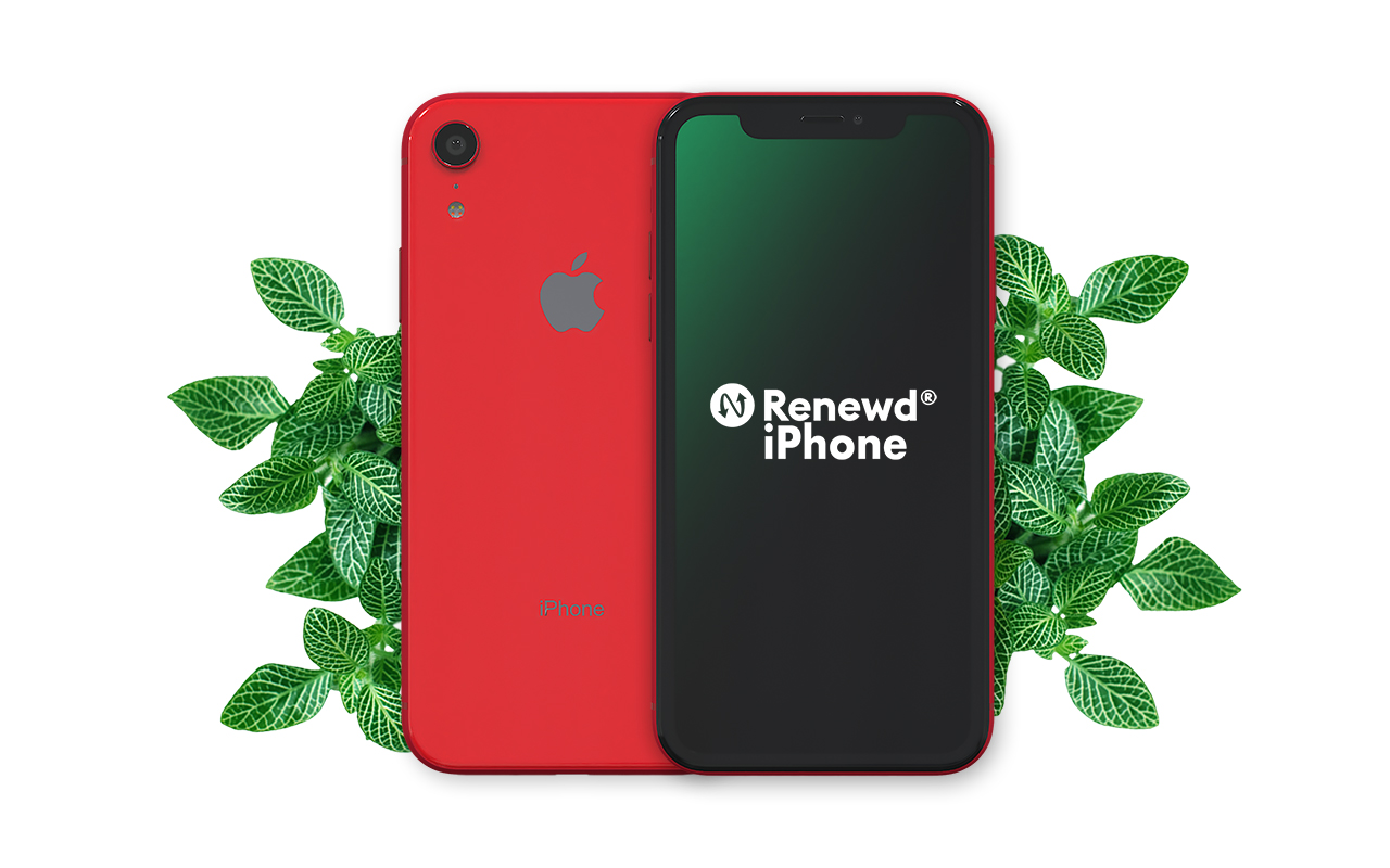 RENEWD IPHONE XR RED 64GB 64 GB Red Dual SIM
