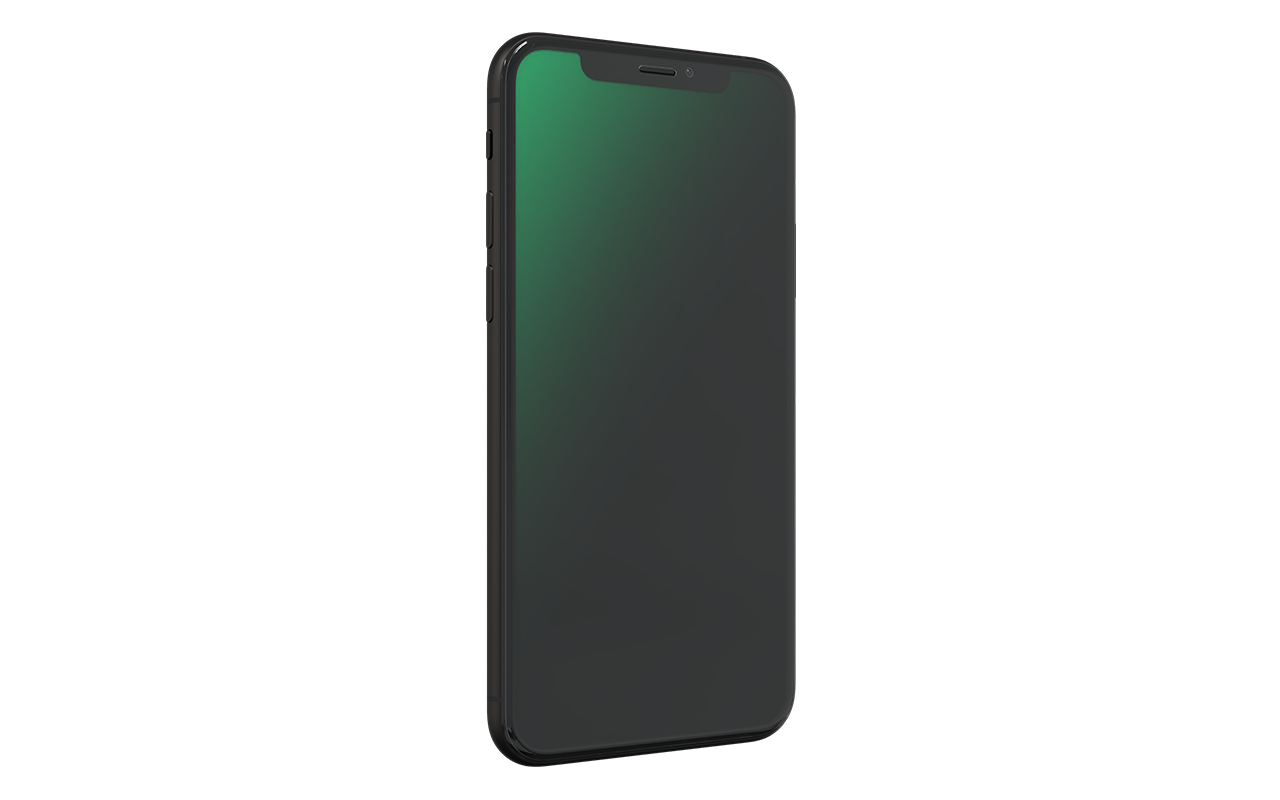 RENEWD iPhone XS 64 GB Space Gray Dual SIM
