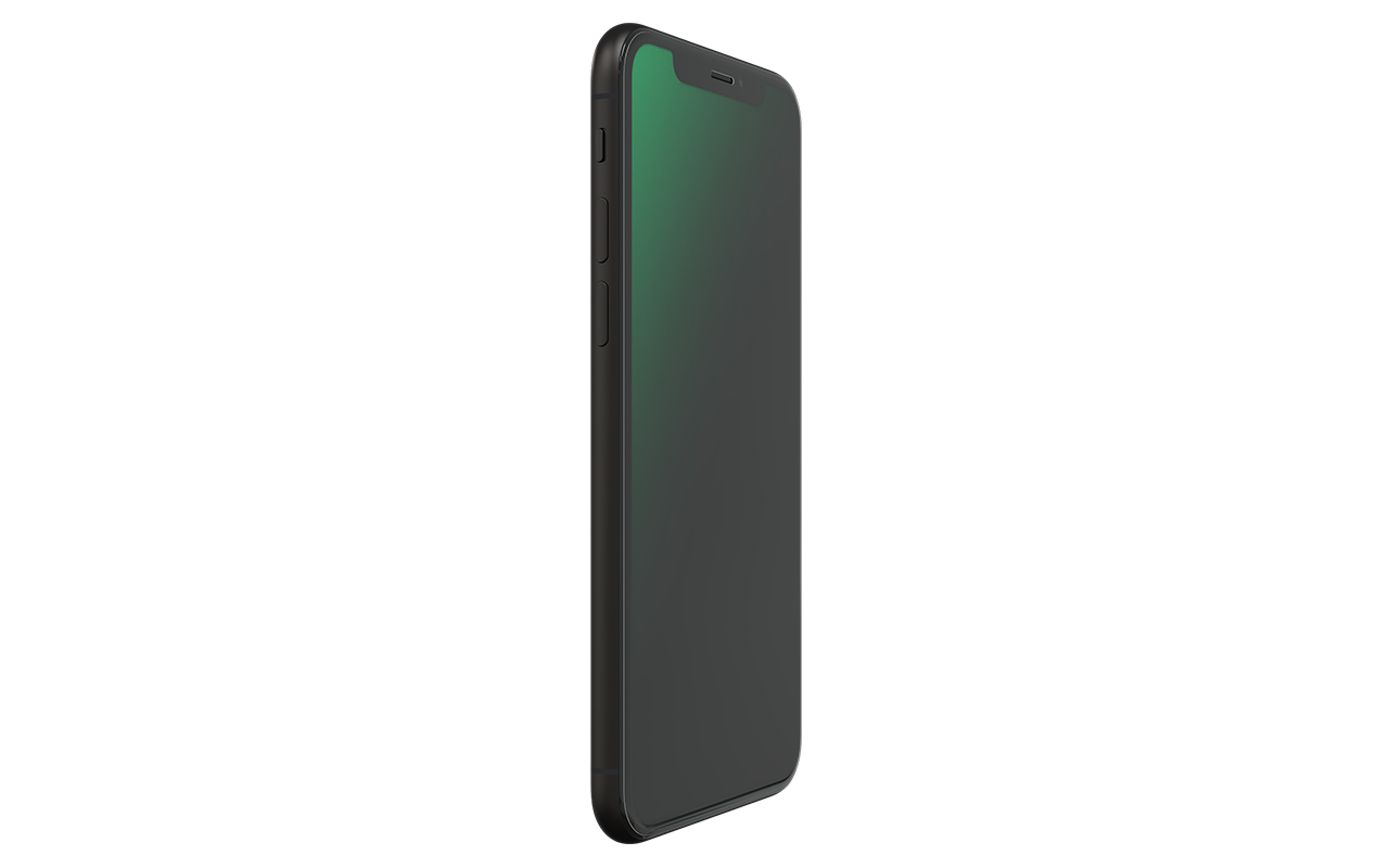 RENEWD iPhone XS 64 GB Space Gray Dual SIM