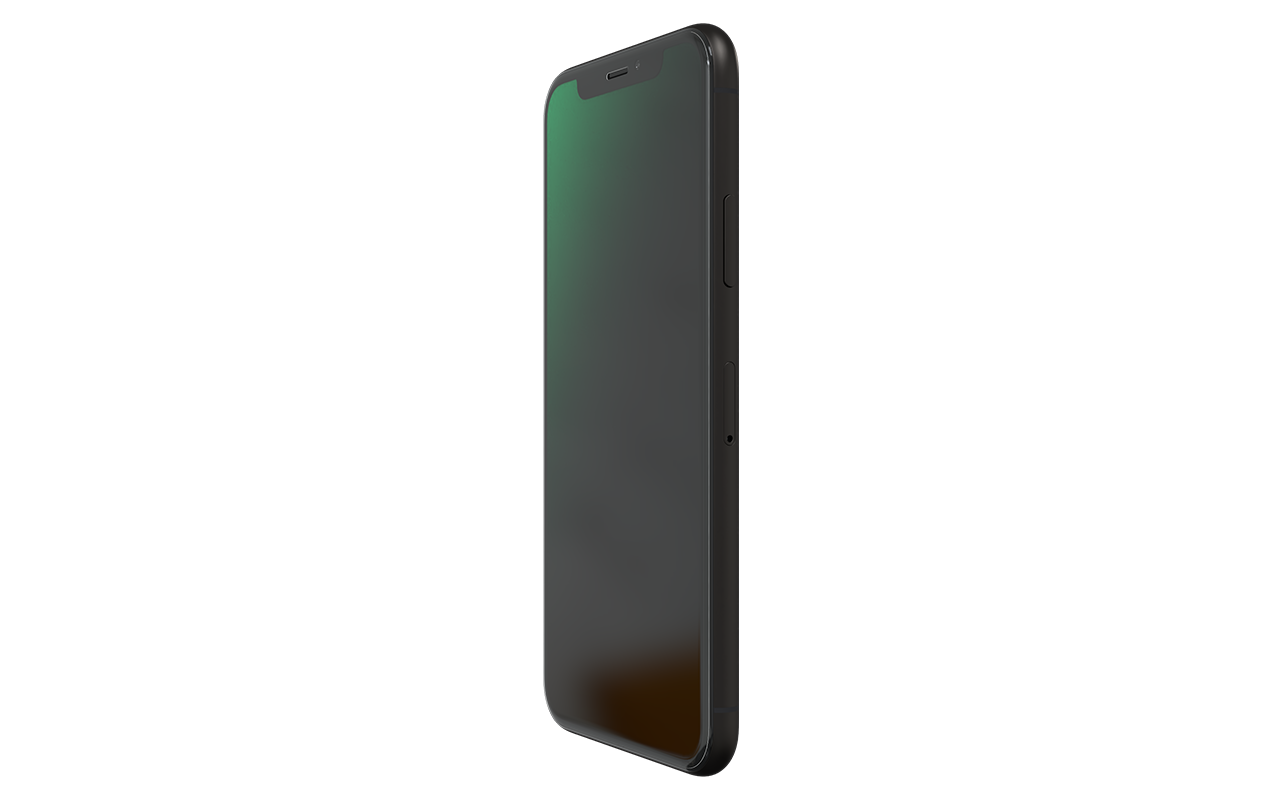 RENEWD iPhone XS 64 GB Space Gray Dual SIM
