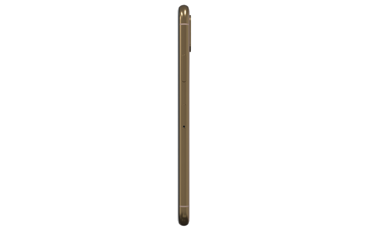 RENEWD iPhone XS 64 GB Gold Dual SIM