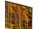 SAMSUNG QN800B 65'' Neo QLED 8K Smart TV (QE65QN800BTXXC)