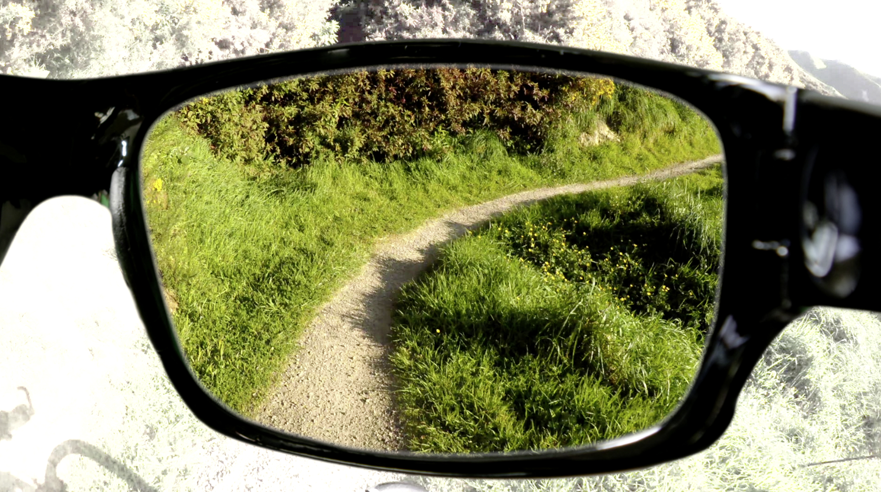Blick durch eine Brille auf einen Weg in einem grünen Feld. Grünes Gras und Bäume im Hintergrund.