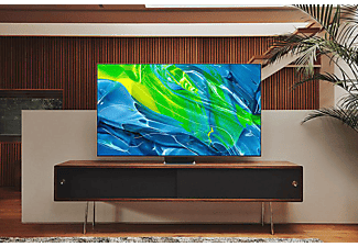 SAMSUNG GQ55S95BAT OLED TV (Flat, 55 Zoll / 138 cm, OLED 4K, SMART TV, Tizen)