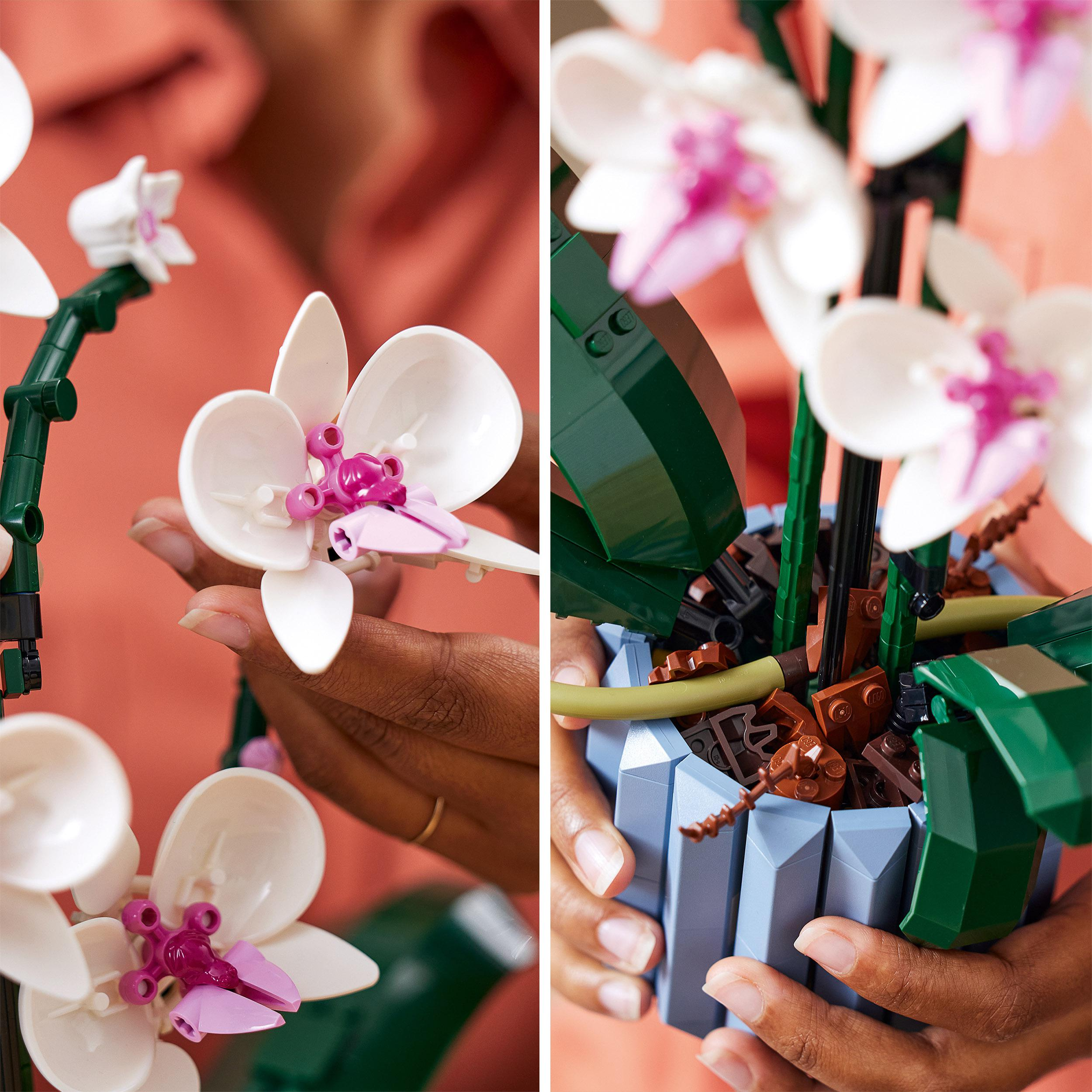 Zwei Bilder einer zusammengebauten Lego-Orchideenblume. Eine Hand hält die Blume vor einem blauen Topf.