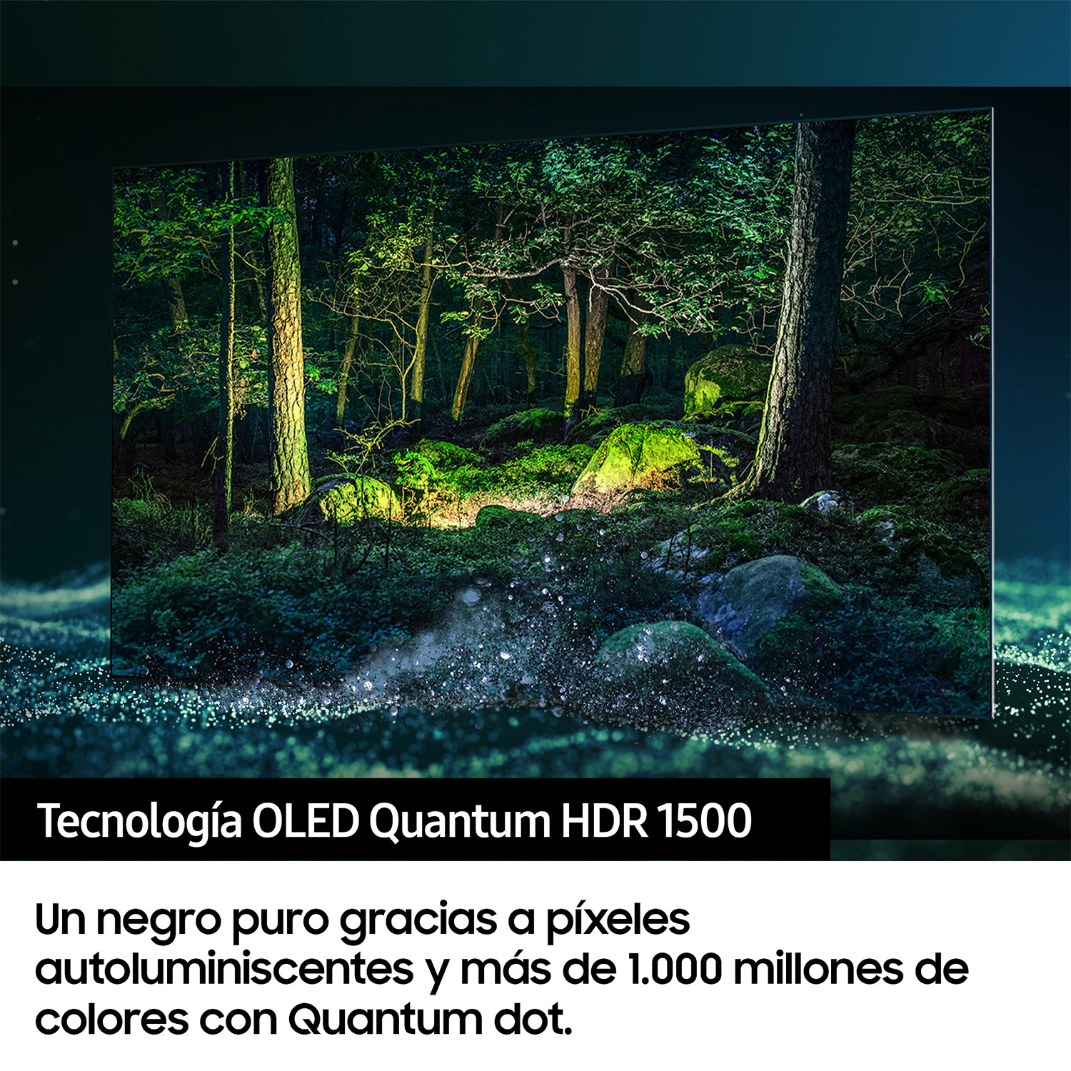 Escena de bosque en una pantalla de TV, con árboles y follaje verde. Borde negro.