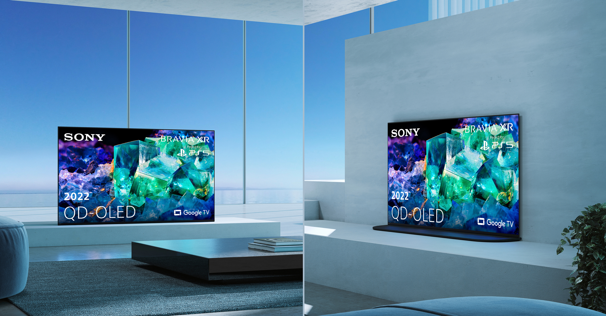 SONY Bravia XR-55A95K (2022)