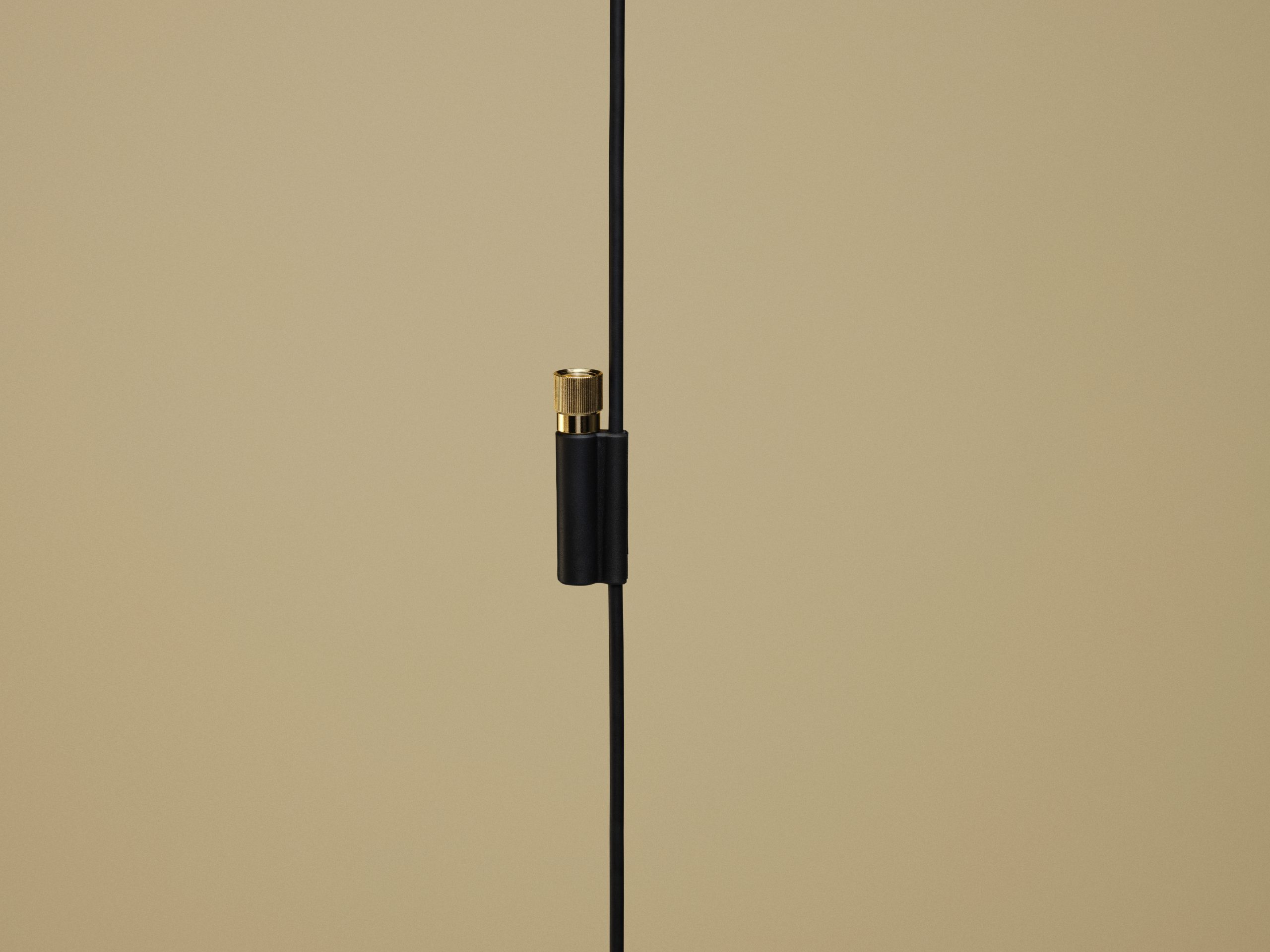 A cabinet door with a gold-colored latch on a black line.