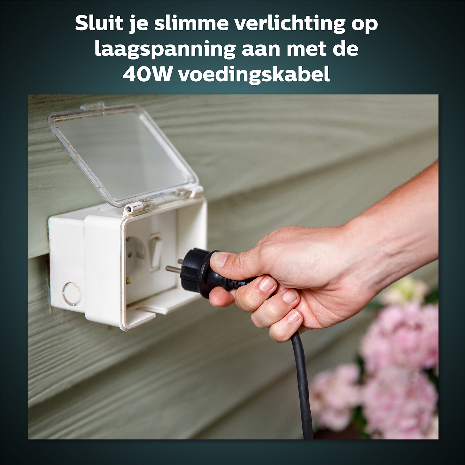A hand plugging a black plug into a white electrical outlet. Green siding and pink flowers.