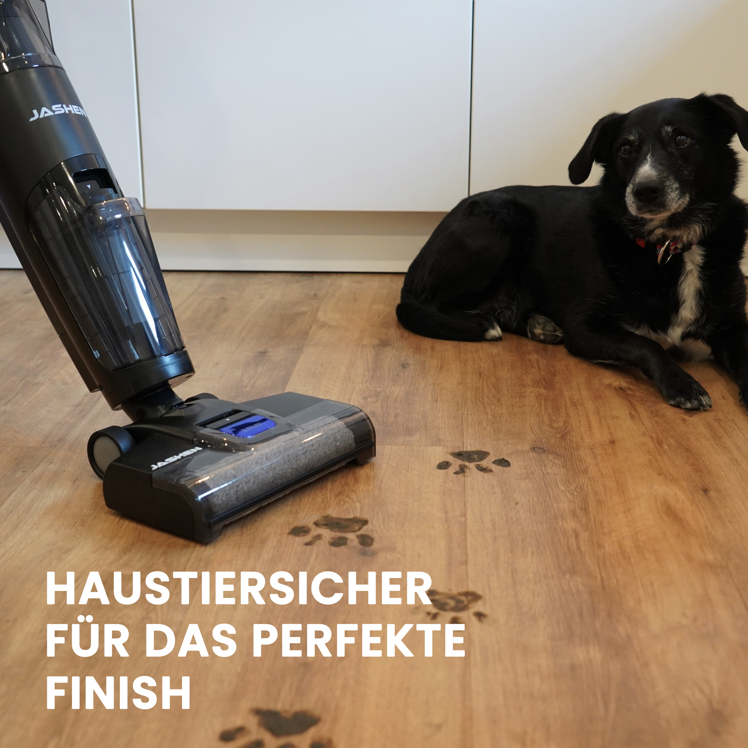 Schwarzer Staubsauger reinigt Holzboden, Hundepfotenabdrücke sind sichtbar.