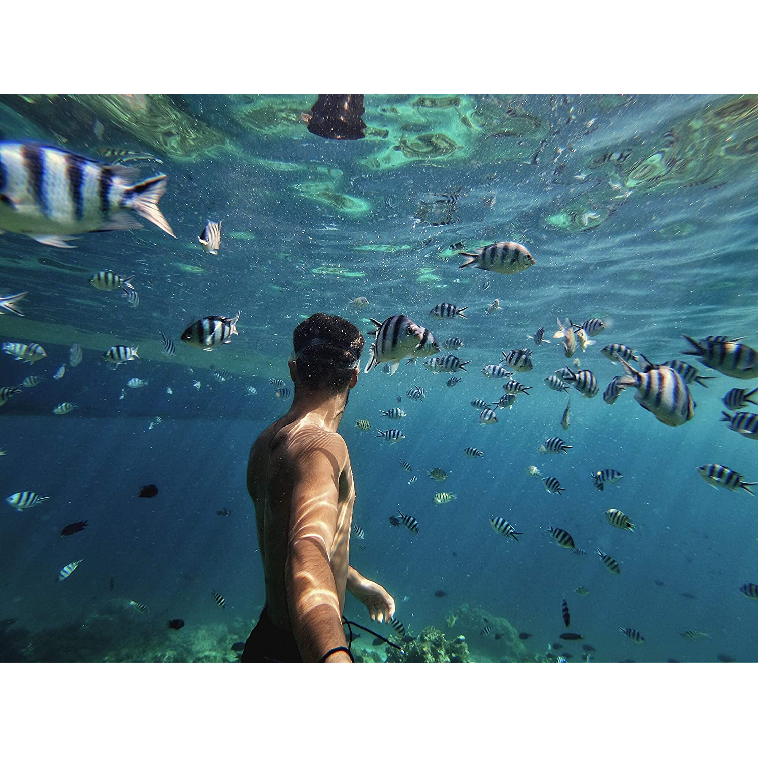 Hombre buceando con peces rayados en agua azul.